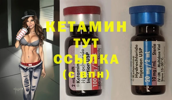 дмт Дмитриев
