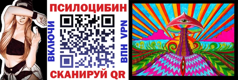 Галлюциногенные грибы Psilocybine cubensis  Купить где  Муром 
